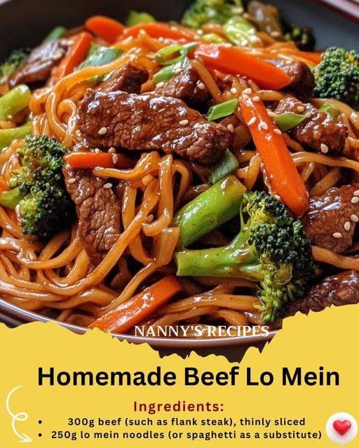 Homemade Beef Lo Mein Recipe