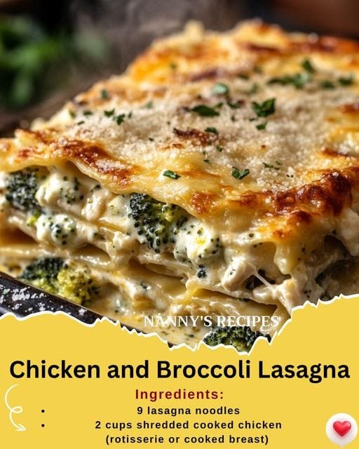 Chicken and Broccoli Lasagna Recipe