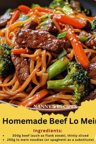 Homemade Beef Lo Mein Recipe