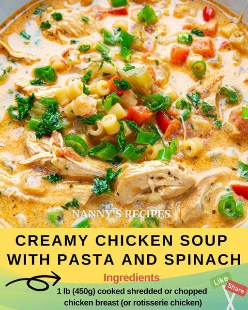 Creamy Chicken Soup with Pasta and Spinach Recipe