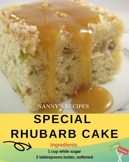 Special Rhubarb Cake Recipe