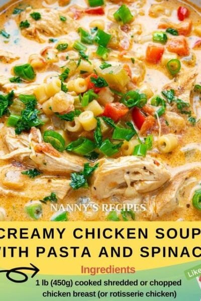 Creamy Chicken Soup with Pasta and Spinach Recipe