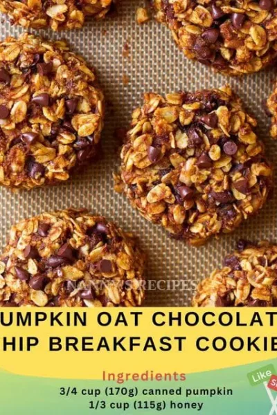 Pumpkin Oat Chocolate Chip Breakfast Cookies Recipe