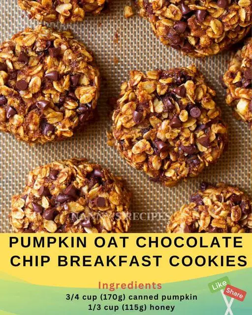 Pumpkin Oat Chocolate Chip Breakfast Cookies Recipe