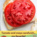 Tomato and Mayo Sandwich Recipe