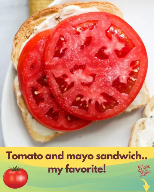 Tomato and Mayo Sandwich Recipe