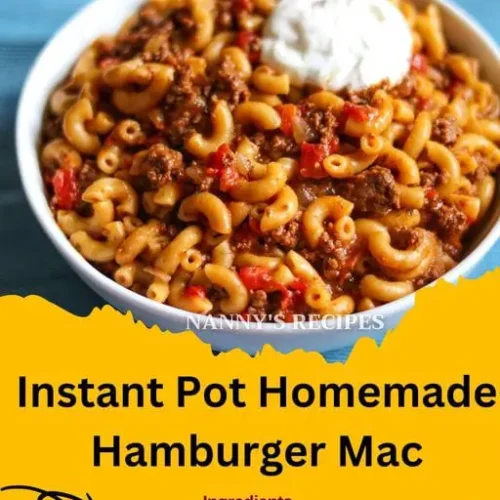 Instant Pot Homemade Hamburger Mac